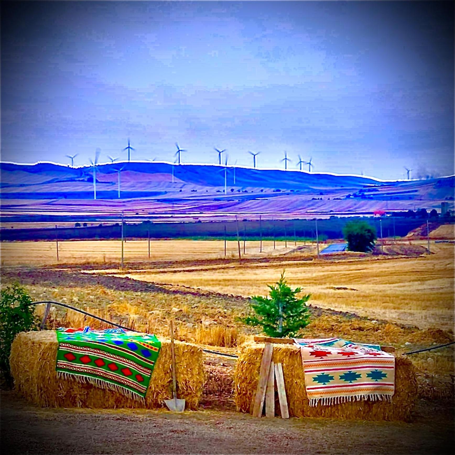 Antica Masseria Il Casone Candela Εξωτερικό φωτογραφία